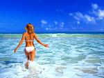     
: 149933_shutterstock_2831429.jpg
: 8
:	212.4 
ID:	9914248
