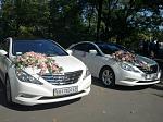     
: W2vN0eqyrUY.jpg
: 58
:	120.5 
ID:	9917078