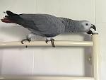     
: IMG_4368.jpg
: 6
:	70.3 
ID:	9920576