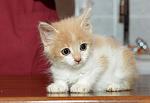     
: hMMJz8S6l-I.jpg
: 13
:	37.2 
ID:	9921219