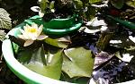     
: 20150603_151859.jpg
: 7
:	140.9 
ID:	9921386