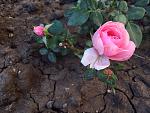     
: image.jpg
: 8
:	120.2 
ID:	9922617