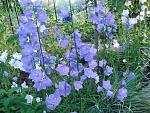     
: DSC03502.jpg
: 6
:	228.4 
ID:	9922983