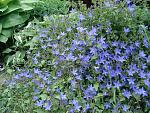     
: DSC03524.jpg
: 5
:	280.9 
ID:	9922986