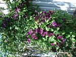     
: DSC03510.jpg
: 4
:	266.2 
ID:	9922992