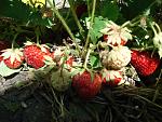     
: DSC03514.jpg
: 4
:	178.3 
ID:	9922994