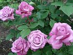     
: DSC03522.jpg
: 5
:	149.6 
ID:	9923069
