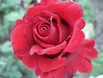     
: DSC03493.jpg
: 3
:	124.4 
ID:	9923103
