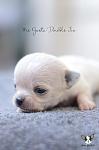     
: DSC_0594.jpg
: 5
:	48.3 
ID:	9925219