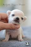     
: DSC_0657.jpg
: 3
:	49.9 
ID:	9925220