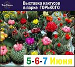     
: 1OFyKpqxzAQ.jpg
: 131
:	108.4 
ID:	9926417