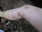     
: IMG_1543.jpg
: 84
:	127.8 
ID:	9927284