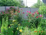     
: DSC00068.jpg
: 5
:	305.9 
ID:	9927789