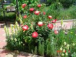     
: DSC00049.jpg
: 5
:	305.0 
ID:	9927790