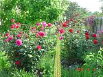     
: DSC00072.jpg
: 5
:	297.6 
ID:	9927791