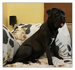     
: 20150604_230705.3.jpg
: 43
:	96.8 
ID:	9928491