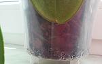     
: 20150605_134823.jpg
: 51
:	68.1 
ID:	9930309