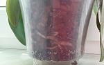     
: 20150605_134653.jpg
: 45
:	82.1 
ID:	9930312