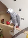     
: IMG_1570.jpg
: 8
:	49.0 
ID:	9930693