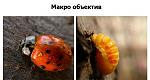     
: Linsa 8.jpg
: 14
:	29.8 
ID:	9931191