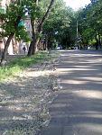     
: Фото0692.jpg
: 30
:	182.8 
ID:	9932700