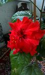     
: IMAG0144.jpg
: 13
:	79.5 
ID:	9933065