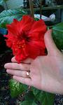     
: IMAG0146.jpg
: 15
:	70.2 
ID:	9933067