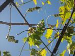     
: 2015-06-06 12.55.16.jpg
: 41
:	161.6 
ID:	9933713