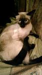     
: IMAG0312.jpg
: 13
:	61.4 
ID:	9935115