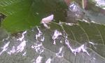     
: IMAG0603.jpg
: 68
:	76.6 
ID:	9937933