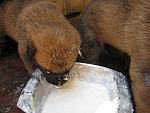     
: IMG_5201.jpg
: 16
:	144.0 
ID:	9938245