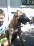     
: IMG_20150601_102557.jpg
: 12
:	79.8 
ID:	9938251