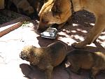     
: IMG_5203.jpg
: 14
:	147.2 
ID:	9938255