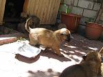     
: IMG_5204.jpg
: 15
:	134.8 
ID:	9938258