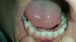     
: ImageUploadedByTapatalk1433769472.466669.jpg
: 28
:	58.1 
ID:	9941791
