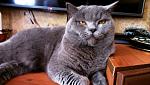     
: 2015-06-01 13.59.44.jpg
: 79
:	129.2 
ID:	9943291