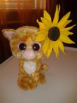     
: 2015-06-06 17.58.00.jpg
: 7
:	71.9 
ID:	9943508
