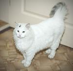     
: ym1AHMLfd2I.jpg
: 13
:	75.2 
ID:	9947362