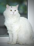     
: Kg20snIMSRk.jpg
: 9
:	71.3 
ID:	9947364
