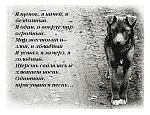    
: Bedniy_chenok.jpg
: 4
:	118.7 
ID:	9947397