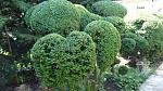     
: DSC07197.jpg
: 5
:	223.5 
ID:	9947927