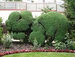     
: DSC08147.jpg
: 6
:	258.3 
ID:	9947929