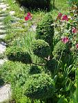     
: DSC08142.jpg
: 6
:	248.8 
ID:	9947932