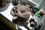     
: DSC_0365.jpg
: 10
:	128.9 
ID:	9948481