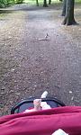     
: IMG_20150605_111943.jpg
: 22
:	99.0 
ID:	9948540