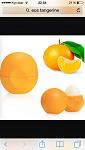     
: image.jpg
: 47
:	37.1 
ID:	9951824