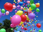     
: image.jpg
: 13
:	89.0 
ID:	9956789