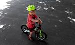     
: IMG_20150524_104908.jpg
: 17
:	110.1 
ID:	9957275