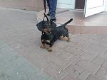     
: received_1121847051164039.jpeg
: 8
:	65.3 
ID:	9958894