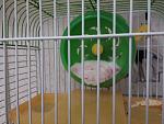     
: uploadfromtaptalk1434141084907.jpg
: 23
:	106.7 
ID:	9959219